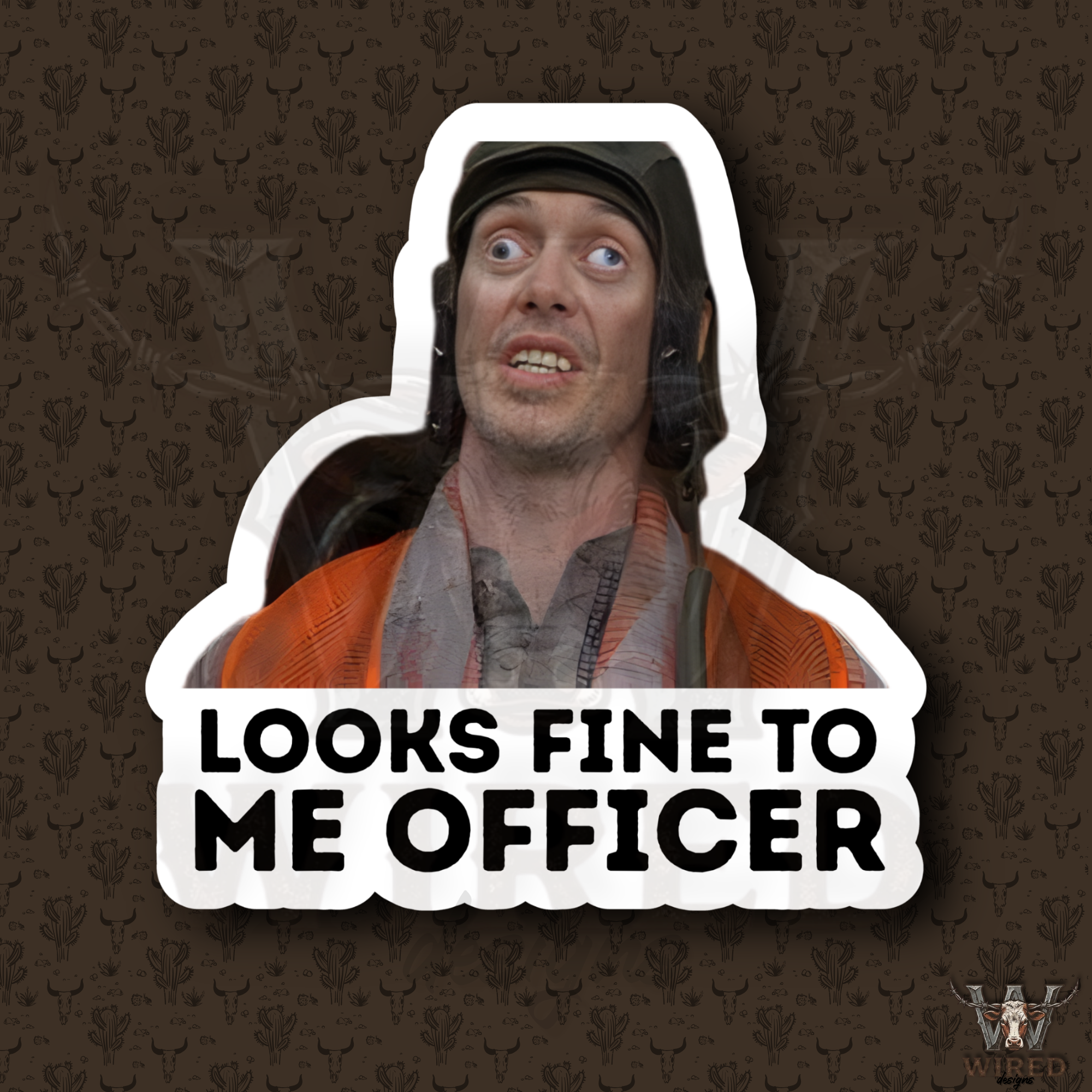 LOOKS FINE TO ME OFFICER