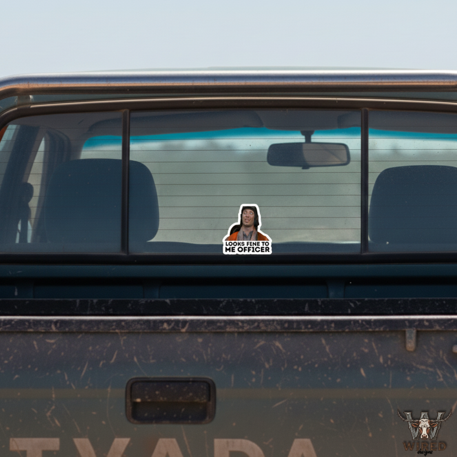 LOOKS FINE TO ME OFFICER