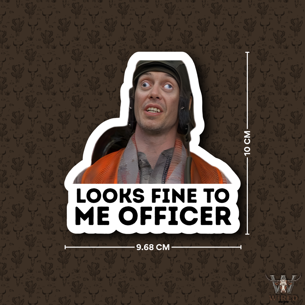 LOOKS FINE TO ME OFFICER